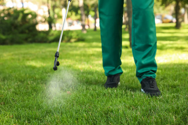 Professional Pest Control in Pelzer, SC