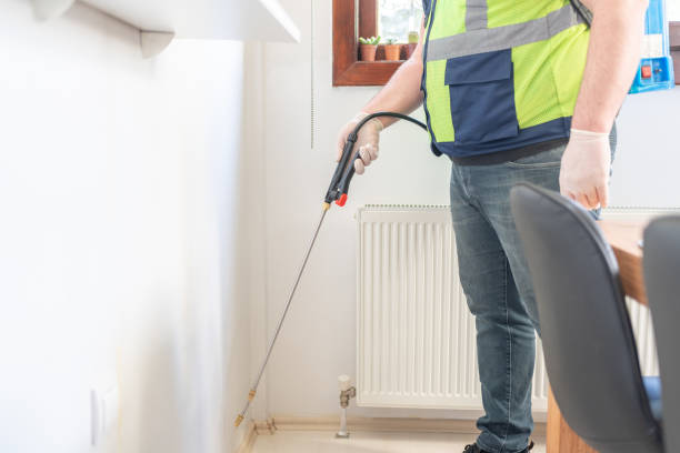 Best Mosquito Control Services  in Pelzer, SC