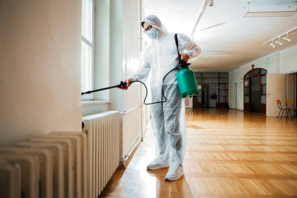 Best Flea Control Services  in Pelzer, SC